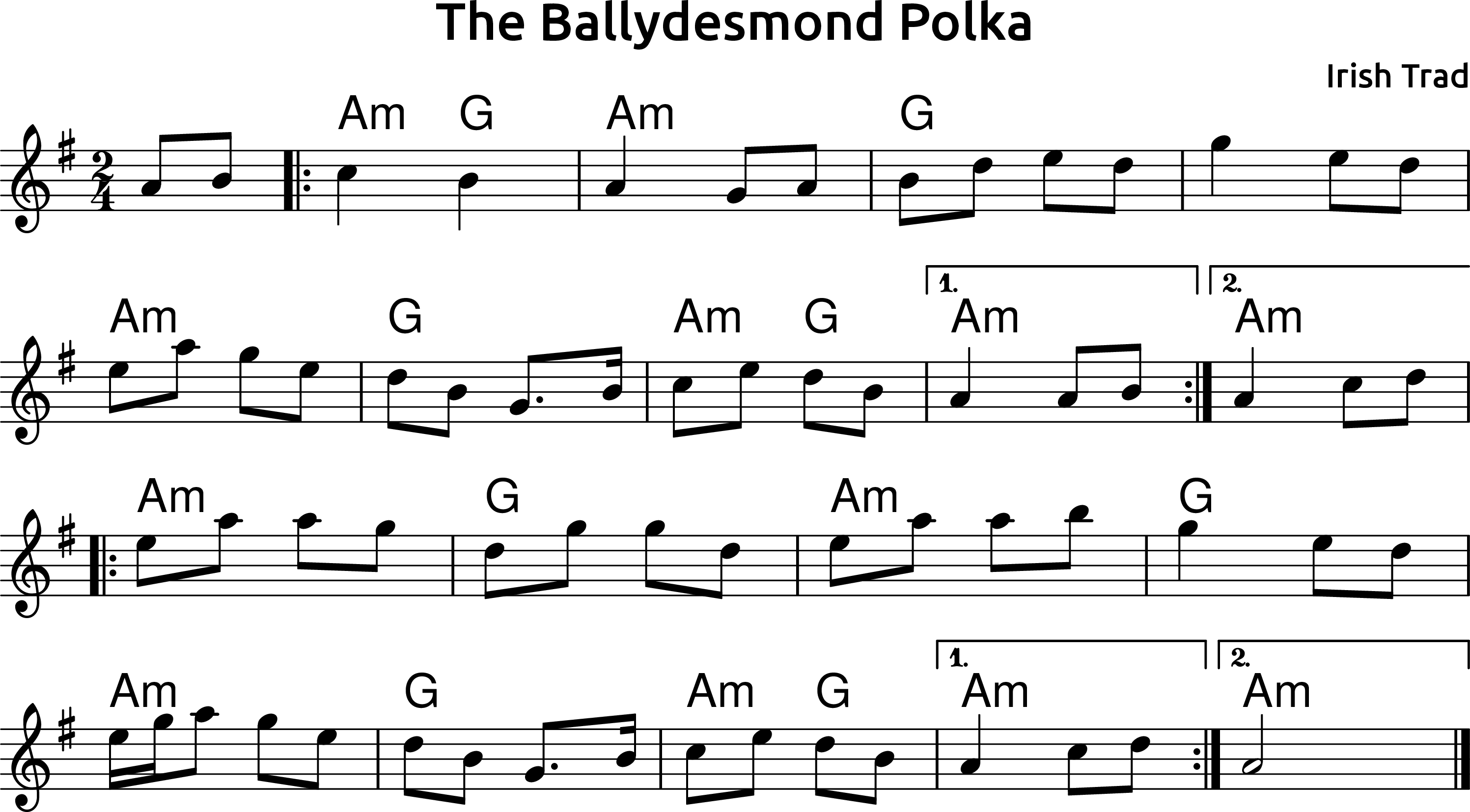 The Ballydesmond Polka